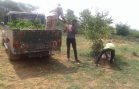 Grassroots Afforestation Program (1)